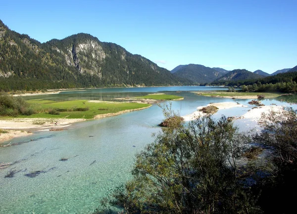 Lush Green Meadow Great Color Water Did Have Much Conviction — Stok Foto