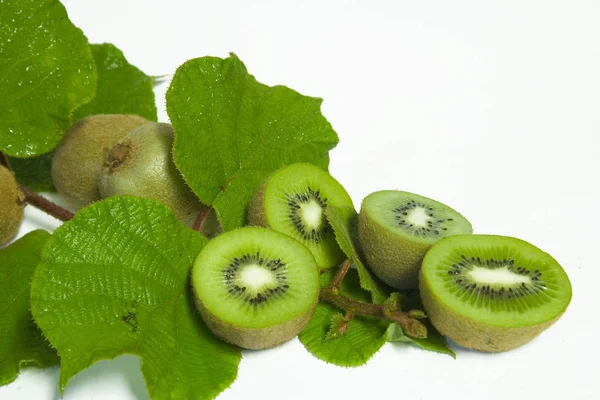 Kiwi Hijau Buah Tropis — Stok Foto