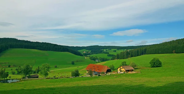 Landleben Selektiver Fokus — Stockfoto