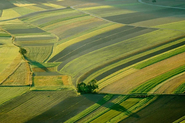 Naturskön Utsikt Över Landsbygden Selektivt Fokus — Stockfoto