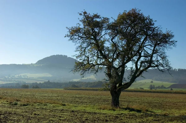 Hohenstaufen Einer Der Drei Kaiserberge Vor Der Schwäbischen Alb Dem — Stockfoto