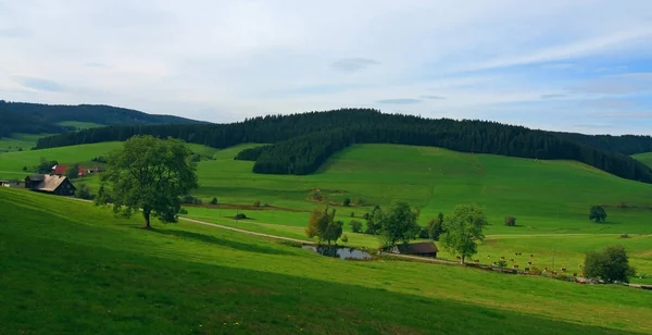 Doğa Sahnesinin Resimsel Görüntüsü — Stok fotoğraf