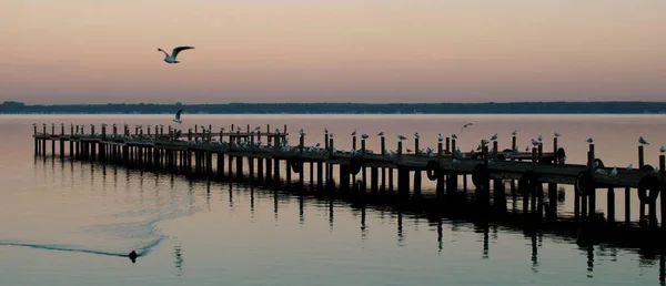 朝の光の中の桟橋 — ストック写真