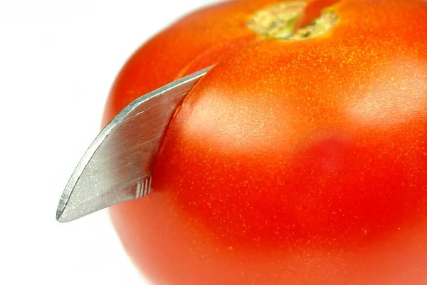 Tomat Isolerad Vit Bakgrund — Stockfoto