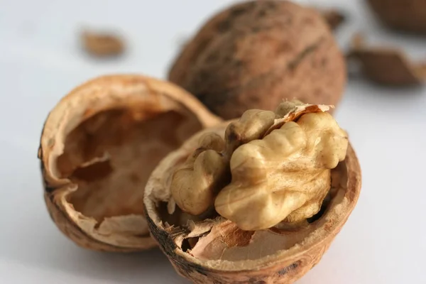 Walnuts Shell White Background — Stock Photo, Image