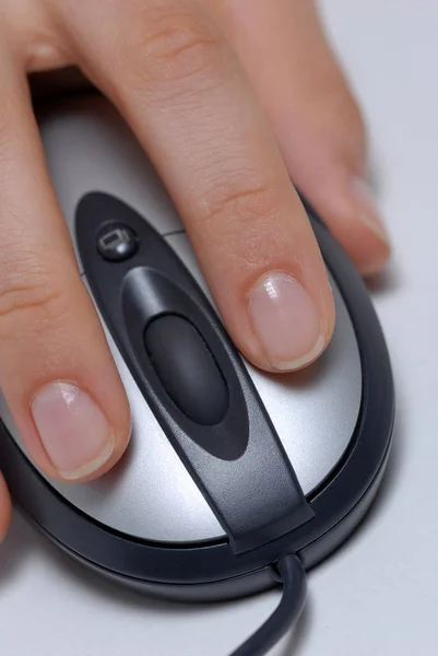 Computer Mouse Clicking Electronic Device — Stock Photo, Image