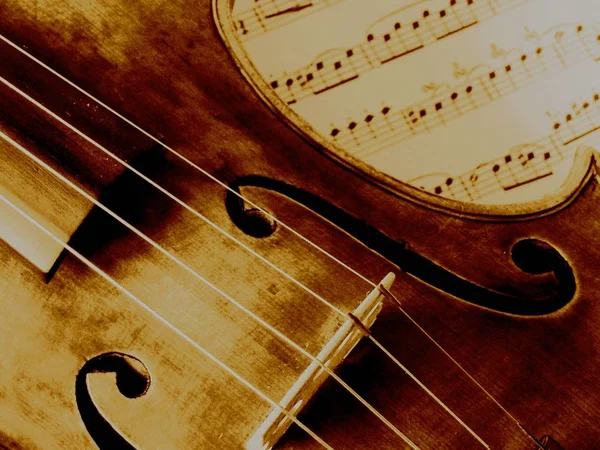 Скрипка Музичний Інструмент Крупним Планом — стокове фото