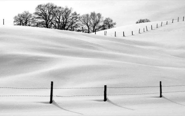 自然界の絵のような景色 — ストック写真