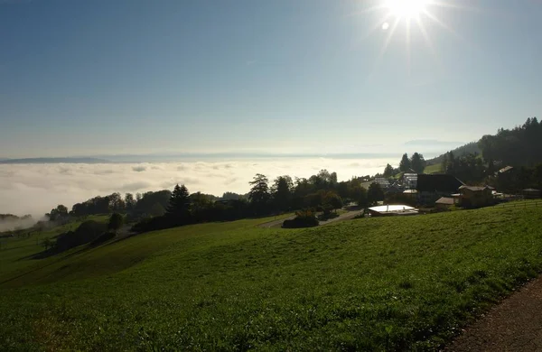 Keine Sorge Die Nächsten Bilder Sind Wieder Der Schlange — Stockfoto