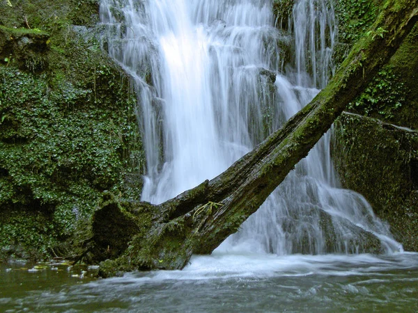 Schöner Wasserfall Auf Naturhintergrund — Stockfoto