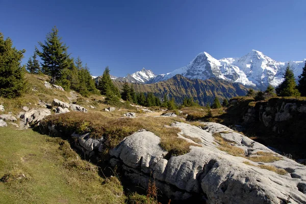 Vista Panorámica Del Hermoso Paisaje Los Alpes —  Fotos de Stock