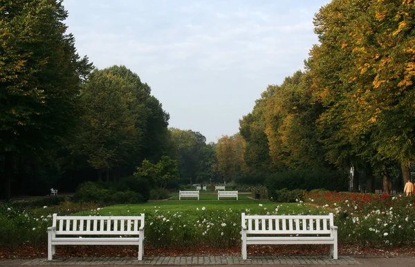 Chociaż Oznacza Rosengarten Ale Jest Miejscem Publicznym Każdej Porze Dnia — Zdjęcie stockowe