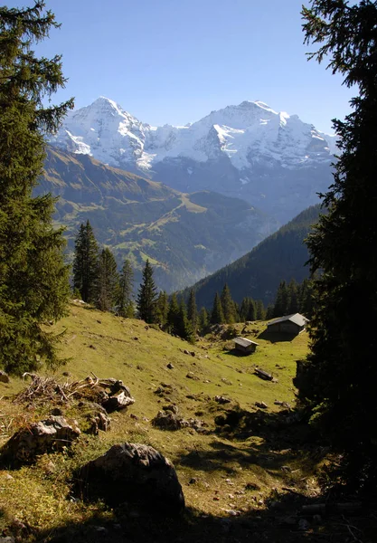 Schilderachtig Uitzicht Prachtig Alpenlandschap — Stockfoto