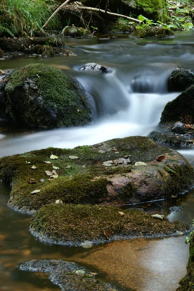 Doğanın Güzel Manzarası — Stok fotoğraf