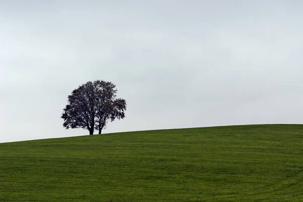 Herfstsfeer Selectieve Focus — Stockfoto