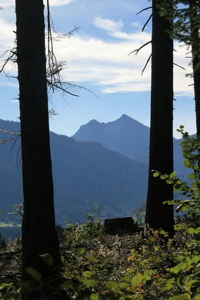 Schöne Aussicht Auf Die Natur — Stockfoto