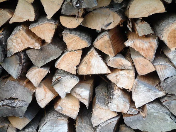Firewood Tree Wood Trunks — Stock Photo, Image