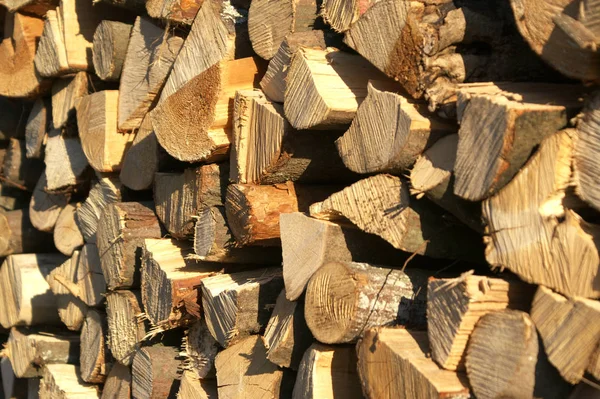 Drewno Opałowe Cięte Brąz Tekstura Drewna Liściastego — Zdjęcie stockowe