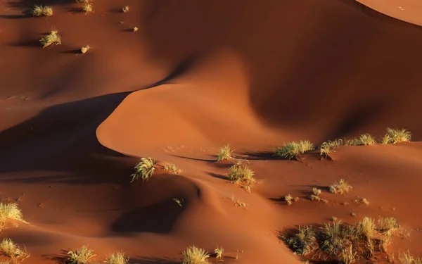 Dünenstrukturen Namib — Stockfoto