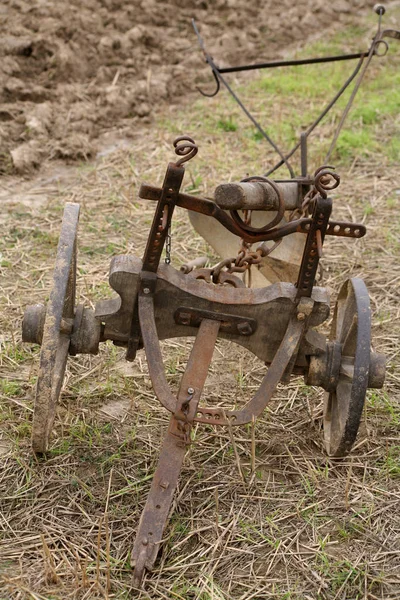 Kırsal Alanın Manzarası Seçici Odak — Stok fotoğraf