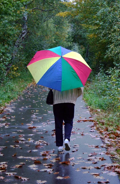 Junge Frau Mit Regenschirm Park — Stockfoto