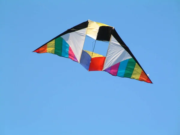 Papagaio Voando Céu — Fotografia de Stock