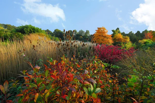 Autumn Colors Arboretum — Stock Photo, Image