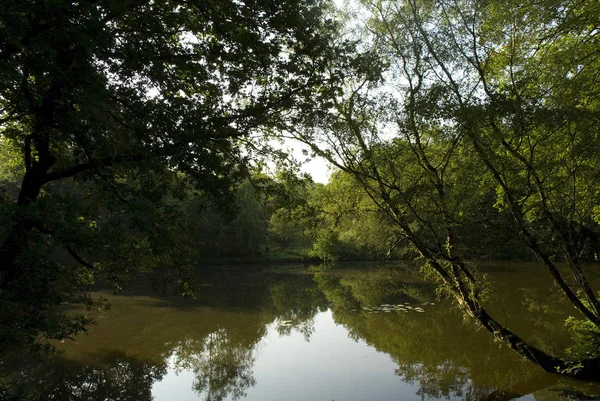 Prachtig Uitzicht Natuur — Stockfoto