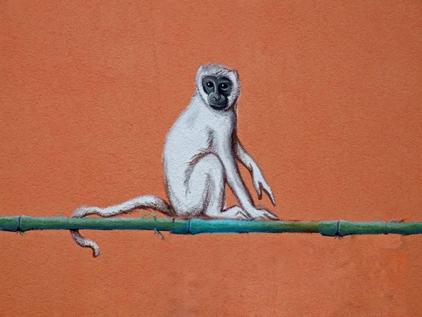 Lemur Vermelho Dirigido Rocha — Fotografia de Stock