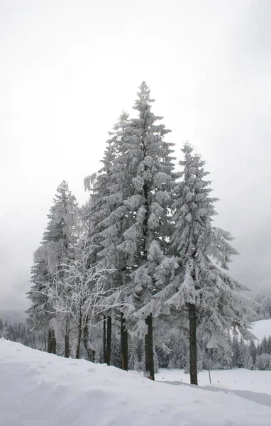 Krásný Výhled Zimní Krajinu — Stock fotografie