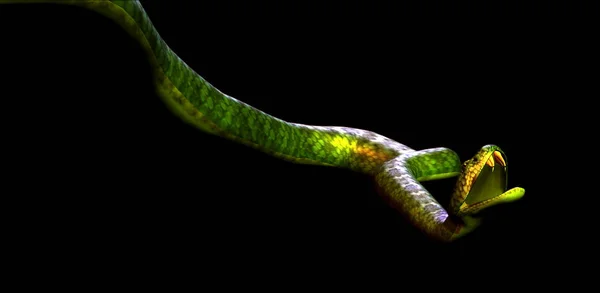 Vista Panorámica Serpiente Peligrosa Majestuosa —  Fotos de Stock