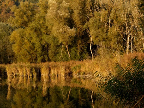 Malerischer Blick Auf Die Outdoor Szene — Stockfoto