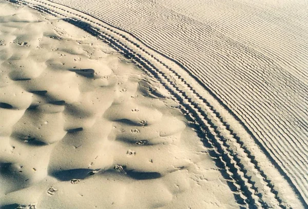砂の中の痕跡 — ストック写真