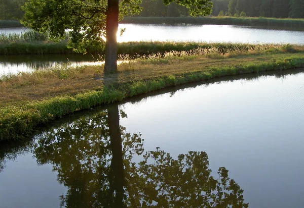 Bayern Den Största Tyska Staten Landareal Och Omfattar Ungefär Femtedel — Stockfoto