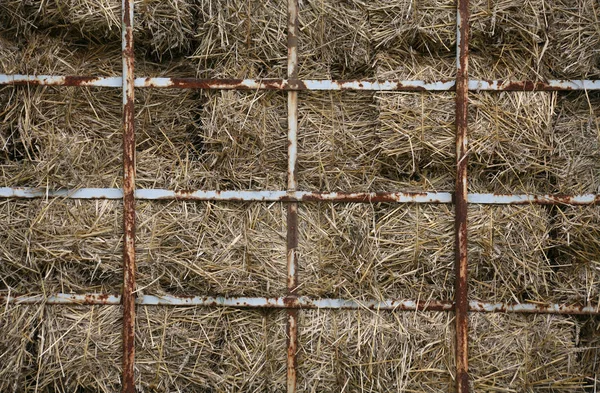 Aussichtsreicher Blick Auf Die Landwirtschaft Auf Dem Land — Stockfoto