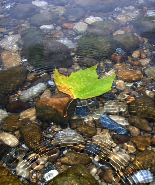 自然界の美しい景色 — ストック写真