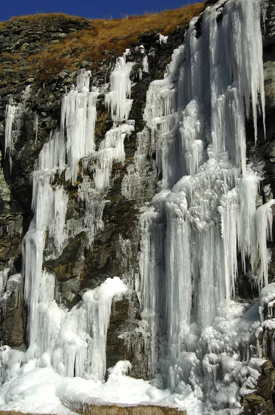 Vista Una Scena Invernale — Foto Stock