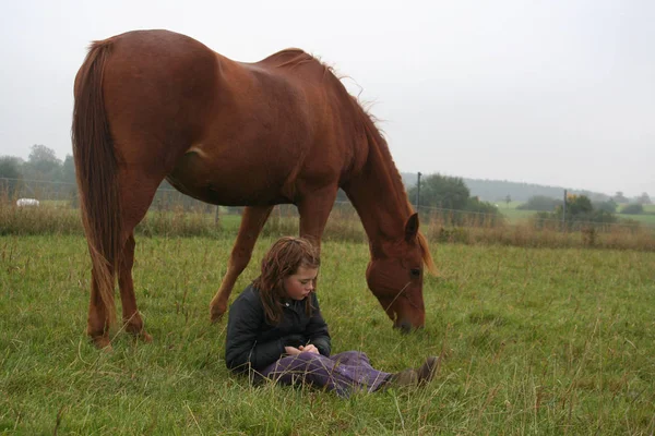Jonge Vrouw Met Een Paard Het Veld — Stockfoto