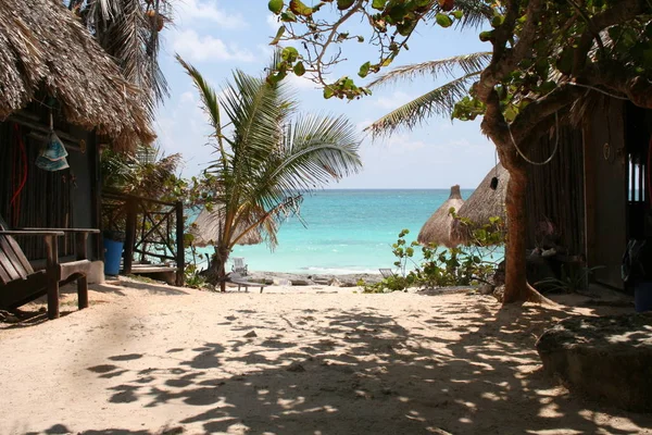 Vista Playa Caribeña Durante Día —  Fotos de Stock