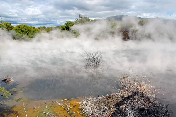 Rotorua Nova Zelândia Nhere Crosta Terra Tão Fina Como Quase — Fotografia de Stock