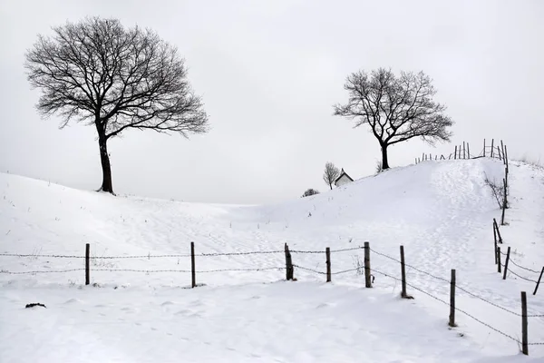 Confine Nuovo Elaborato Ora Come Una Foto Colori — Foto Stock