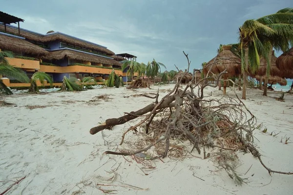 Vacker Utsikt Över Stranden — Stockfoto