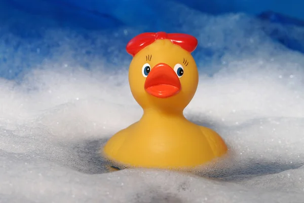 Toy Duck Snow — Stock Photo, Image
