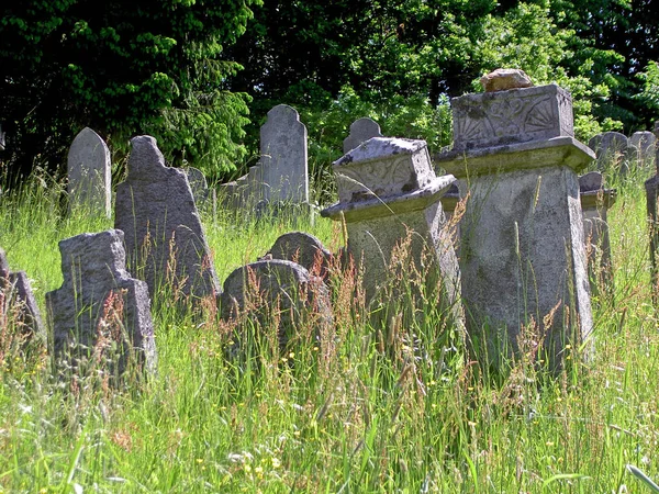 Židovský Hřbitov Niti — Stock fotografie