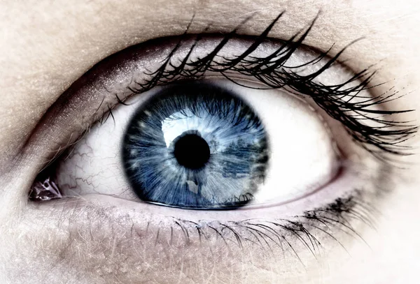 Крупный План Человеческого Глаза — стоковое фото