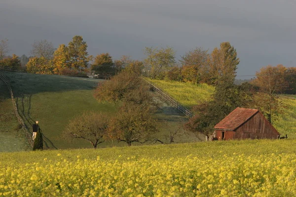 Malebný Pohled Krajinu Přírody — Stock fotografie