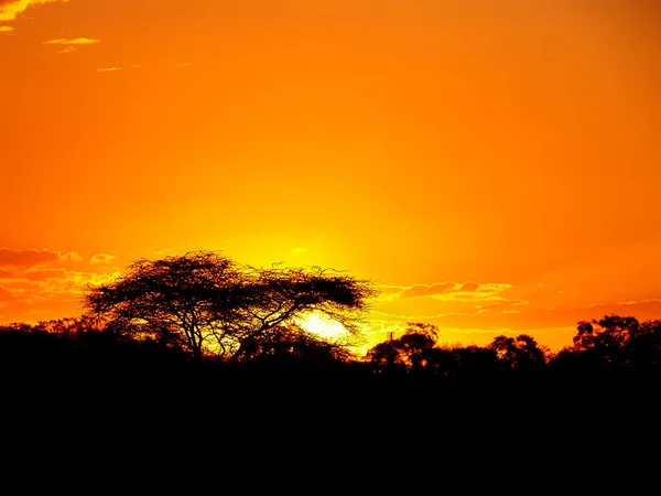 一个最美丽的日落是我们在肯亚桑布鲁保护区的旅行 — 图库照片