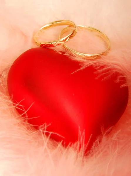 Wedding Rings Marriage Jewelry — Stock Photo, Image