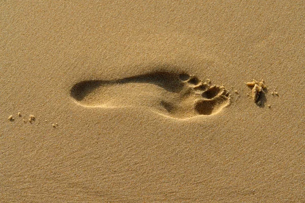 Empreintes Pas Dans Sable — Photo