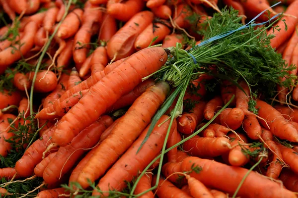 Carrots Farmer Market — Stock Photo, Image